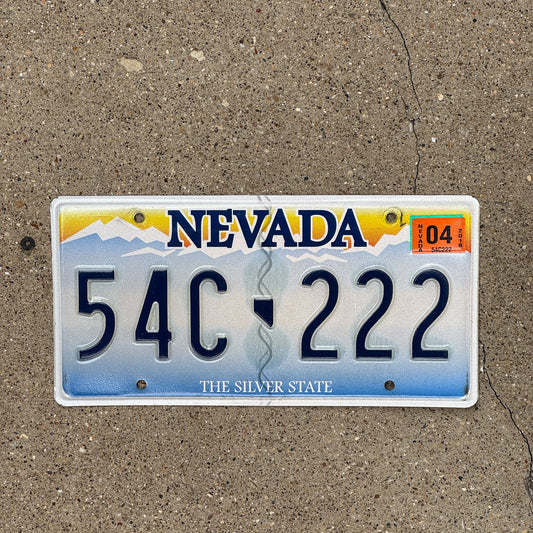 Photo of a 2001 Nevada License Plate Auto Tag Garage Decor Vintage Repeat Repeating 54C 222