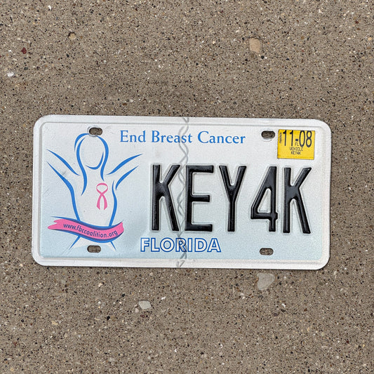 Photo of a 2002 2008 Florida Graphic / Specialty License Plate Auto Tag Garage Decor Vintage End Breast Cancer KEY 4K
