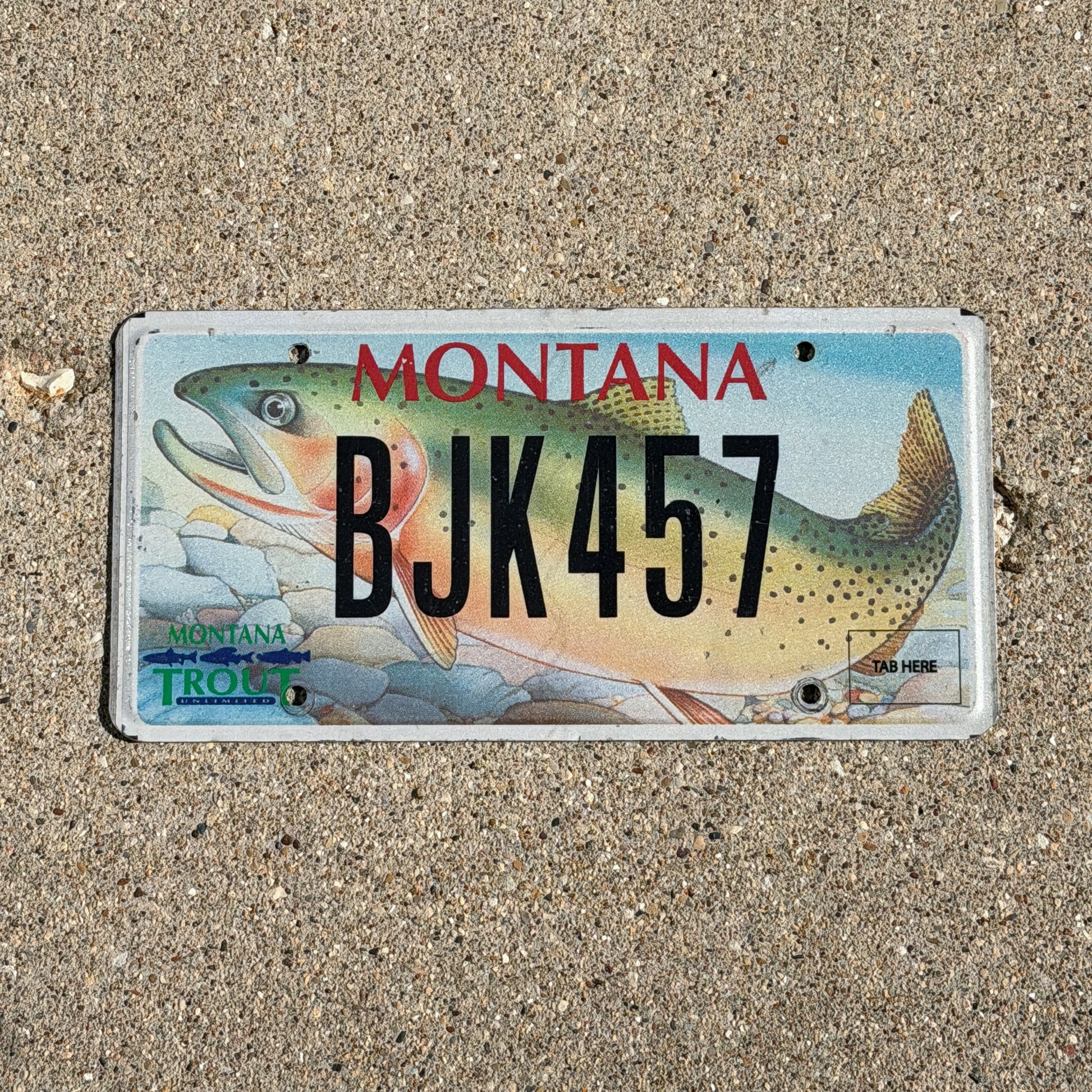 Photo of a 2002 Montana Graphic / Specialty License Plate Auto Tag Garage Decor Vintage Trout Fish Fishing BJK 457 with original patina