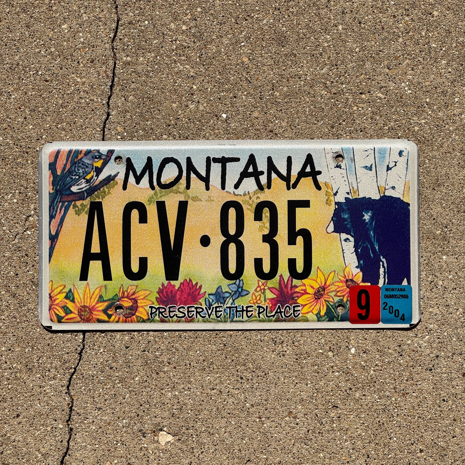 Photo of a 2003 2004 Montana Graphic / Specialty License Plate Auto Tag Garage Decor Vintage Preserve the Place Nature Wildlife Five Valleys Land Trust ACV 835
