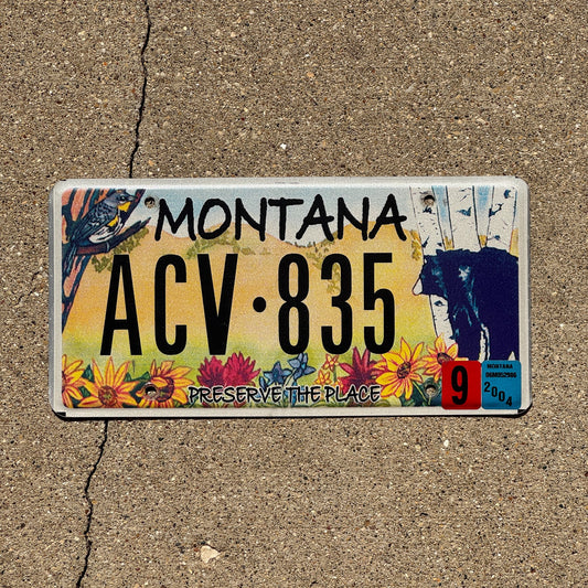 Photo of a 2003 2004 Montana Graphic / Specialty License Plate Auto Tag Garage Decor Vintage Preserve the Place Nature Wildlife Five Valleys Land Trust ACV 835