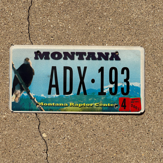 Photo of a 2003 2007 Montana Graphic / Specialty License Plate Auto Tag Garage Decor Vintage Raptor Center Birds Bald Eagle ADX 193