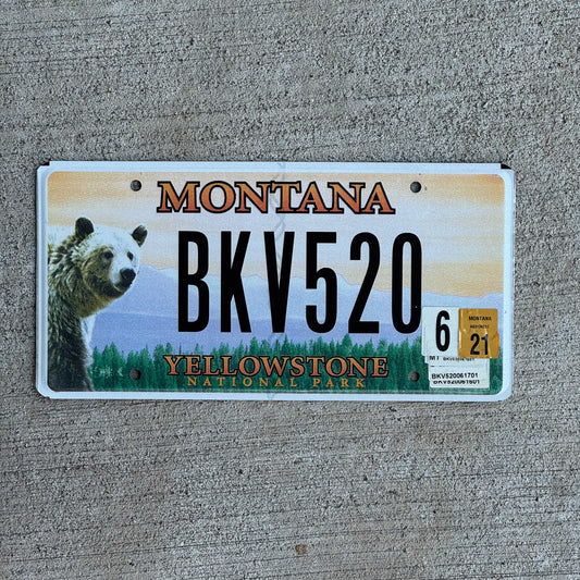 Photo of a 2003 2021 Montana Graphic / Specialty License Plate Auto Tag Garage Decor Vintage Yellowstone National Park BKV 520