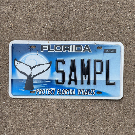 Photo of a 2003 Florida SAMPLE License Plate Auto Tag Garage Decor Vintage Protect FL Whales SAMPL