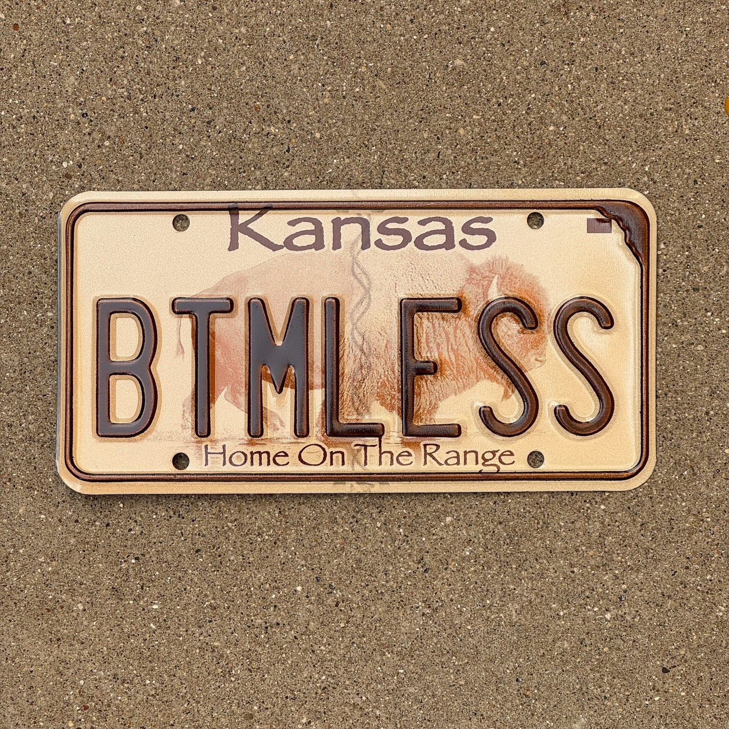 Photo of a 2004 Kansas Vanity License Plate Auto Tag Garage Decor Vintage Bottomless NSFW BTMLESS with original patina