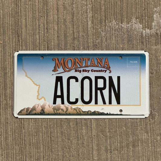 Photo of a 2006 Montana Vanity License Plate Auto Tag 1 Vintage Garage Fall Autumn Decor ACORN with original patina