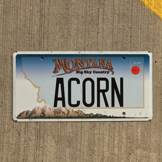 Photo of a 2006 Montana Vanity License Plate Auto Tag 2 Vintage Garage Fall Autumn Decor ACORN with original patina