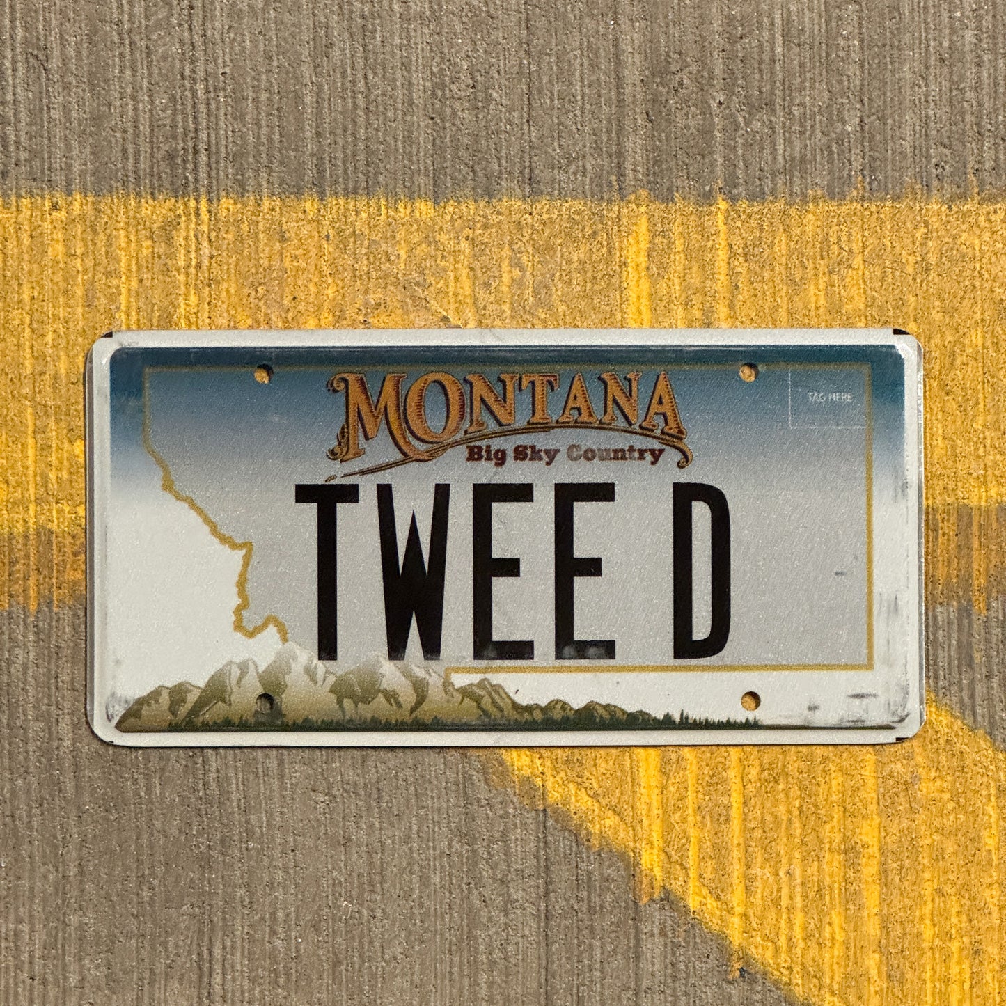 Photo of a 2006 Montana Vanity License Plate Auto Tag Garage Decor Vintage Tweety Tweed TWEE D with original patina