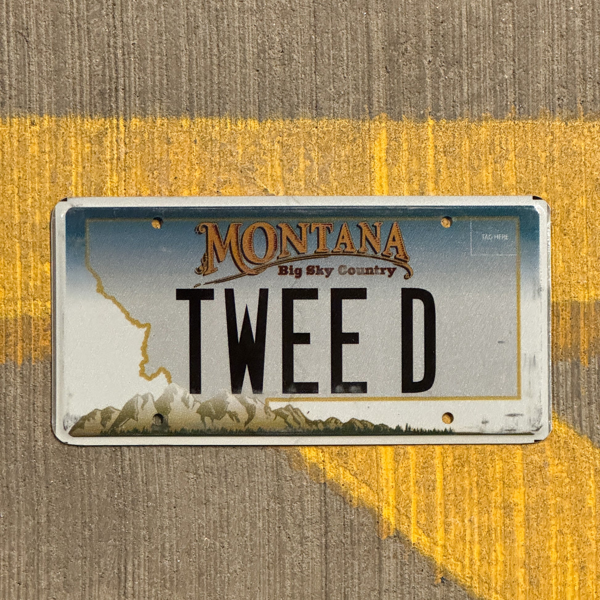 Photo of a 2006 Montana Vanity License Plate Auto Tag Garage Decor Vintage Tweety Tweed TWEE D with original patina