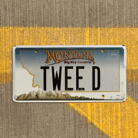 Photo of a 2006 Montana Vanity License Plate Auto Tag Garage Decor Vintage Tweety Tweed TWEE D with original patina