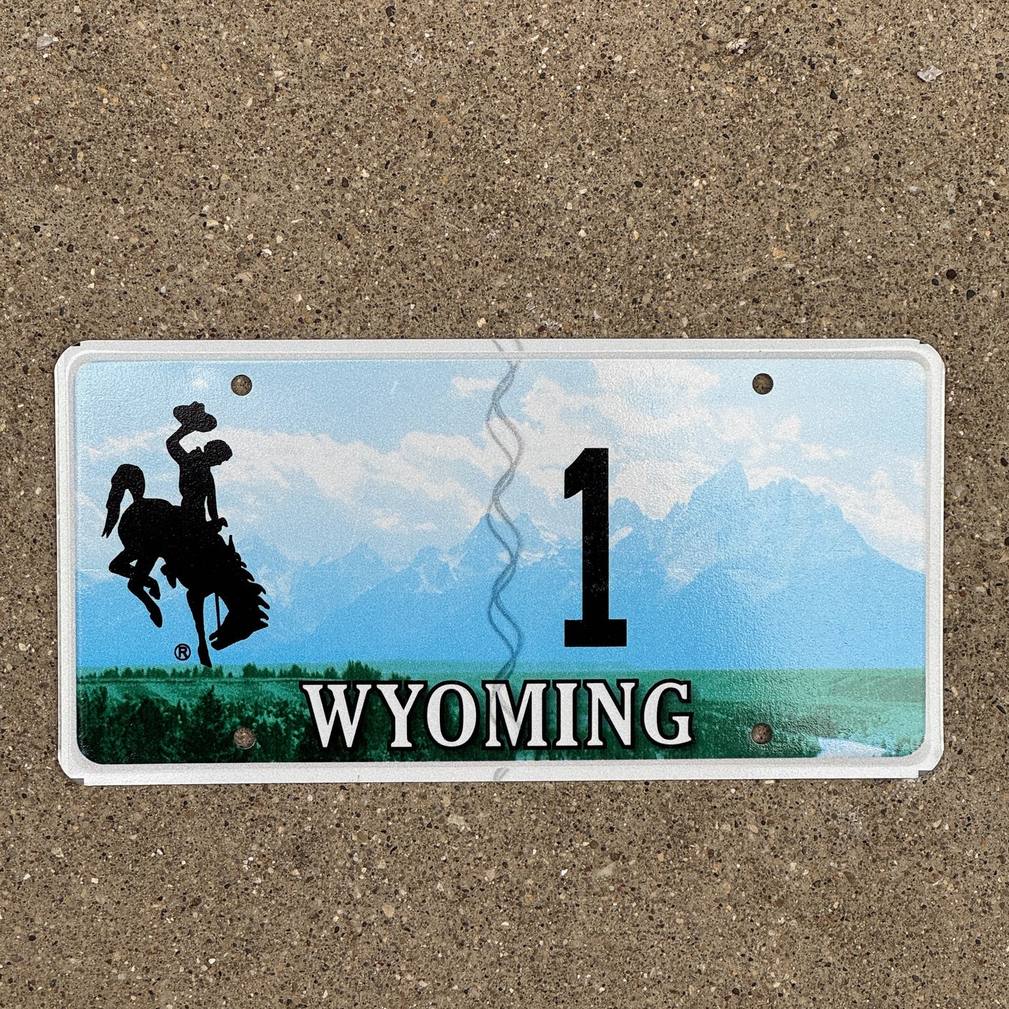 Photo of a 2009 Wyoming License Plate Auto Tag Garage Decor Vintage Souvenir 1 with original patina