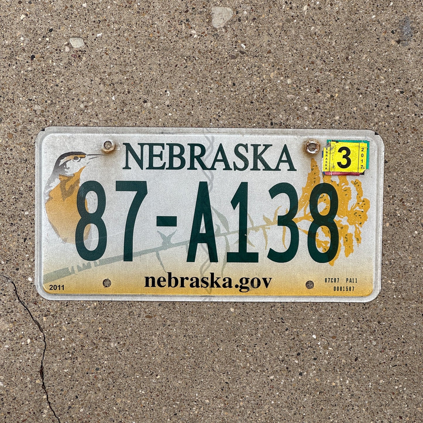 Photo of a 2011 2017 Nebraska License Plate Auto Tag Garage Decor Vintage Meadowlark Bird 87 A138