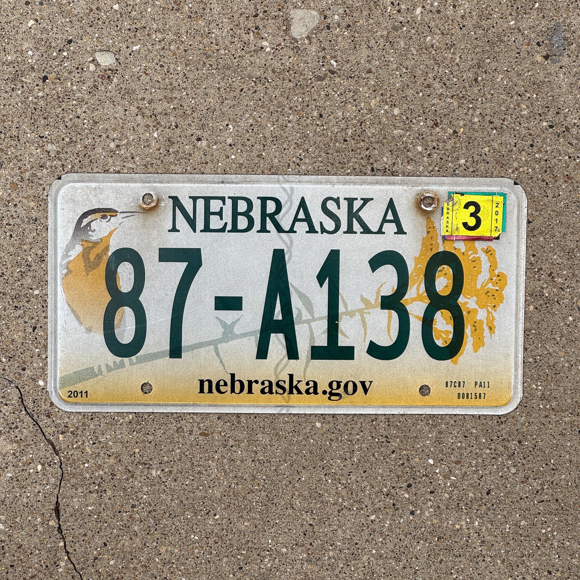 Photo of a 2011 2017 Nebraska License Plate Auto Tag Garage Decor Vintage Meadowlark Bird 87 A138