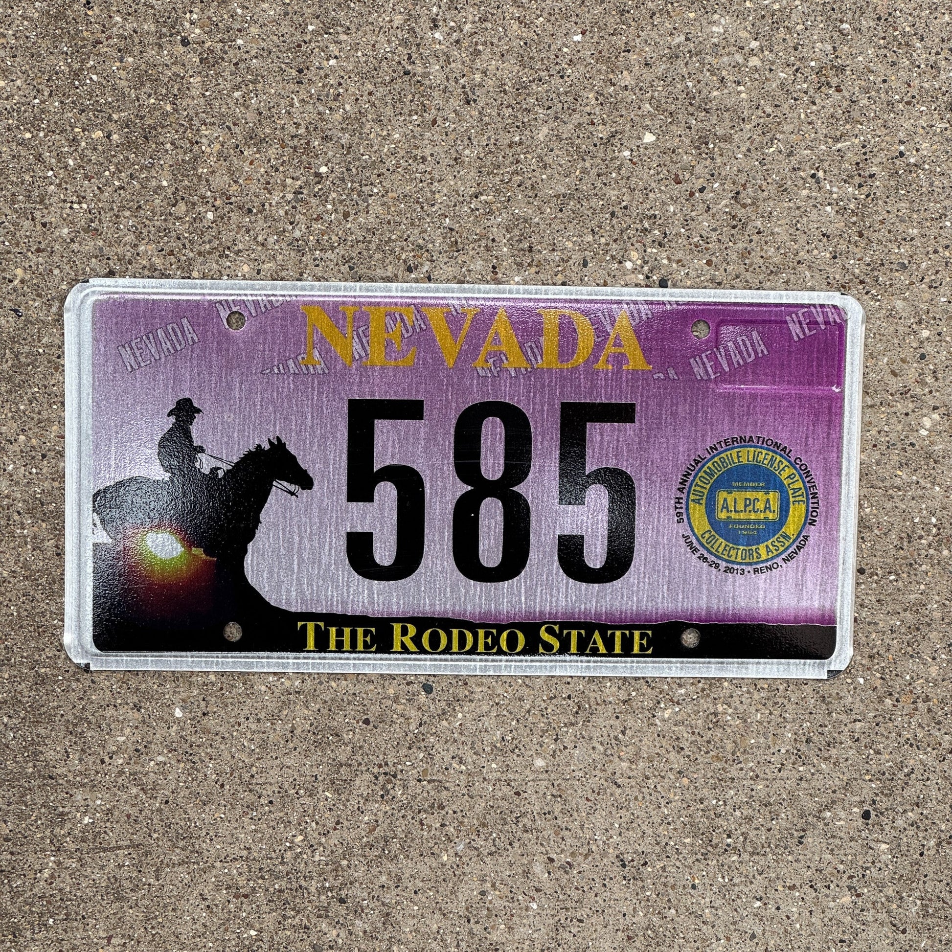 Photo of a 2013 Nevada License Plate Auto Tag Garage Decor Vintage Reno ALPCA Convention 585