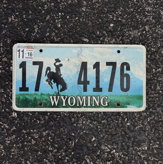 Photo of a 2016 Wyoming License Plate Auto Tag Garage Decor Vintage 17 4176