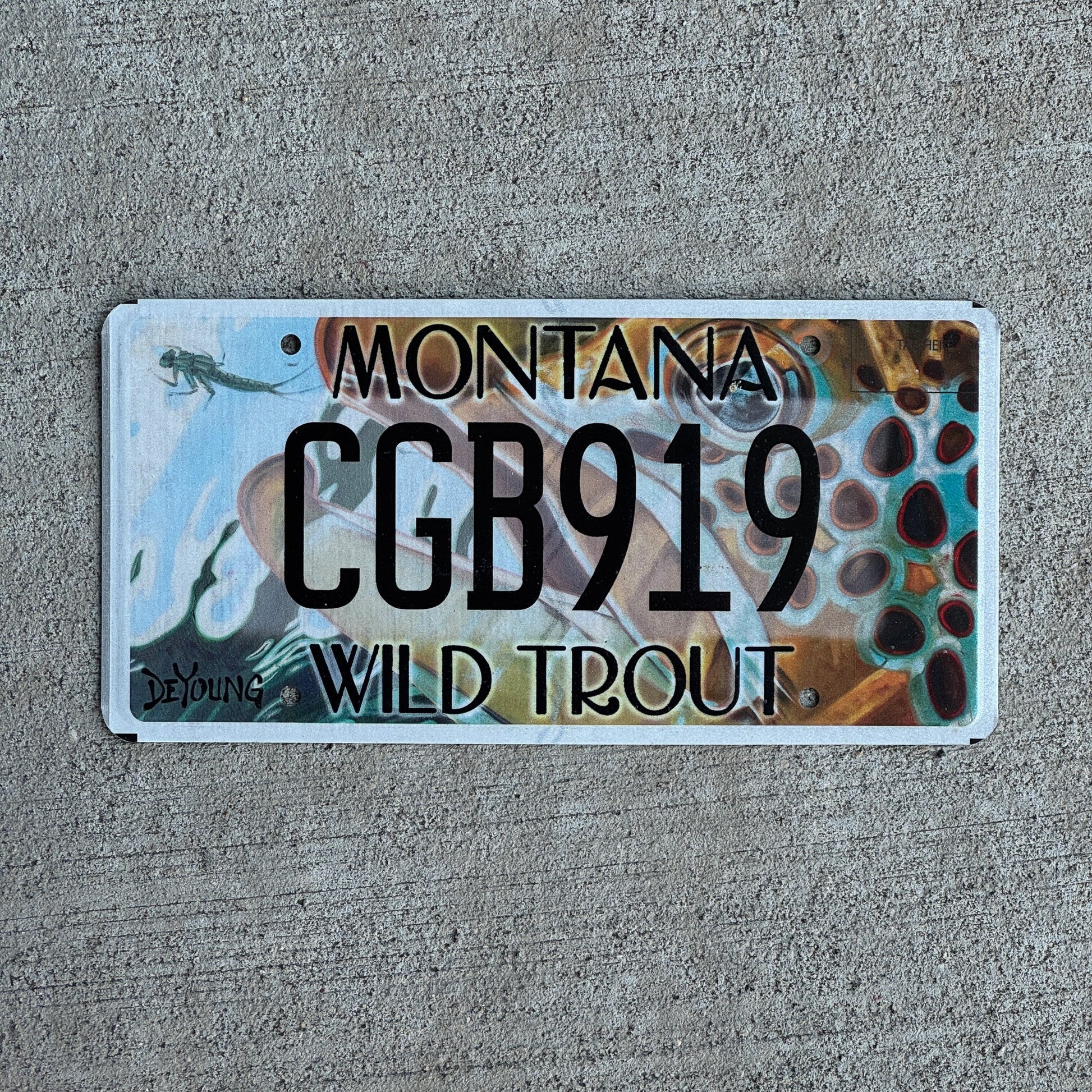 Photo of a 2017 Montana Graphic / Specialty License Plate Auto Tag Garage Decor Vintage Wild Trout CGB 919