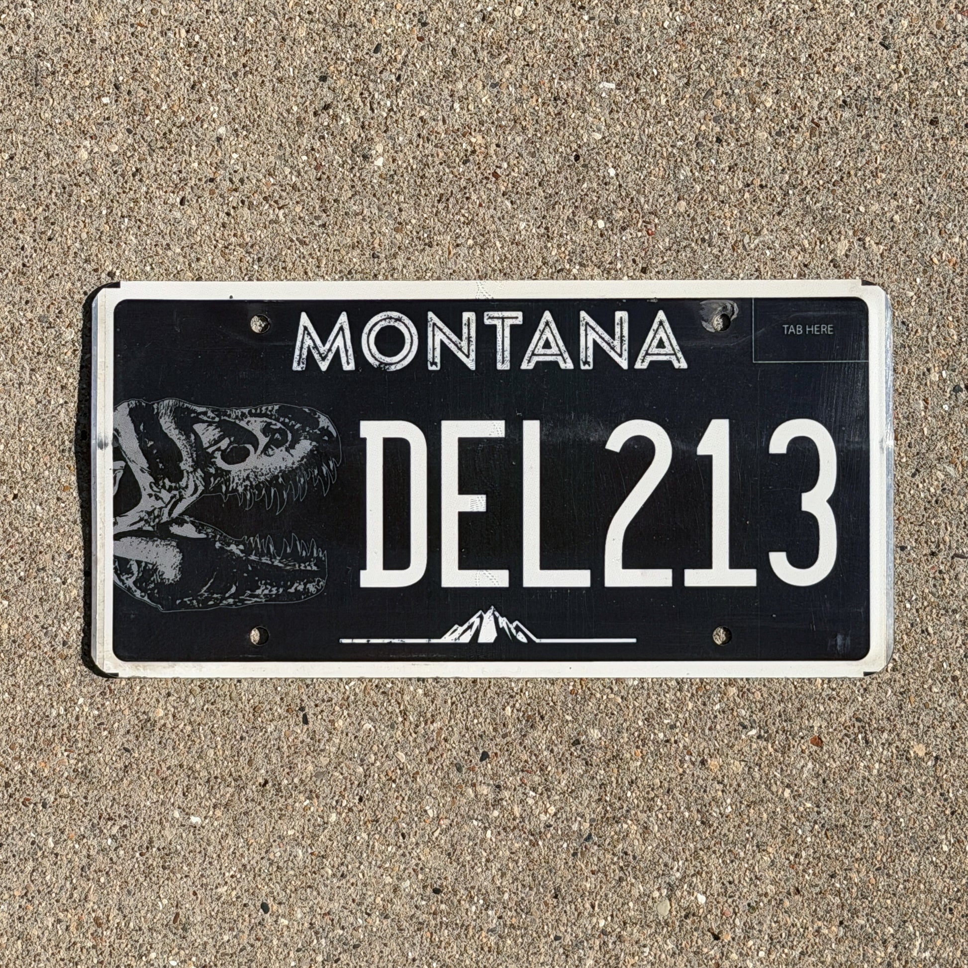 Photo of a 2018 Montana Graphic / Specialty License Plate Auto Tag Garage Decor Vintage T Rex Dinosaur Fossil DEL 213 with original patina