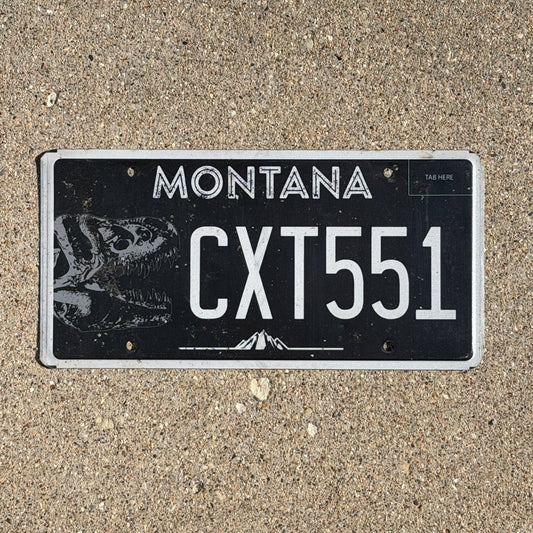 2018 Montana Graphic / Specialty License Plate Auto Tag T Rex Dinosaur Fossil CXT 551