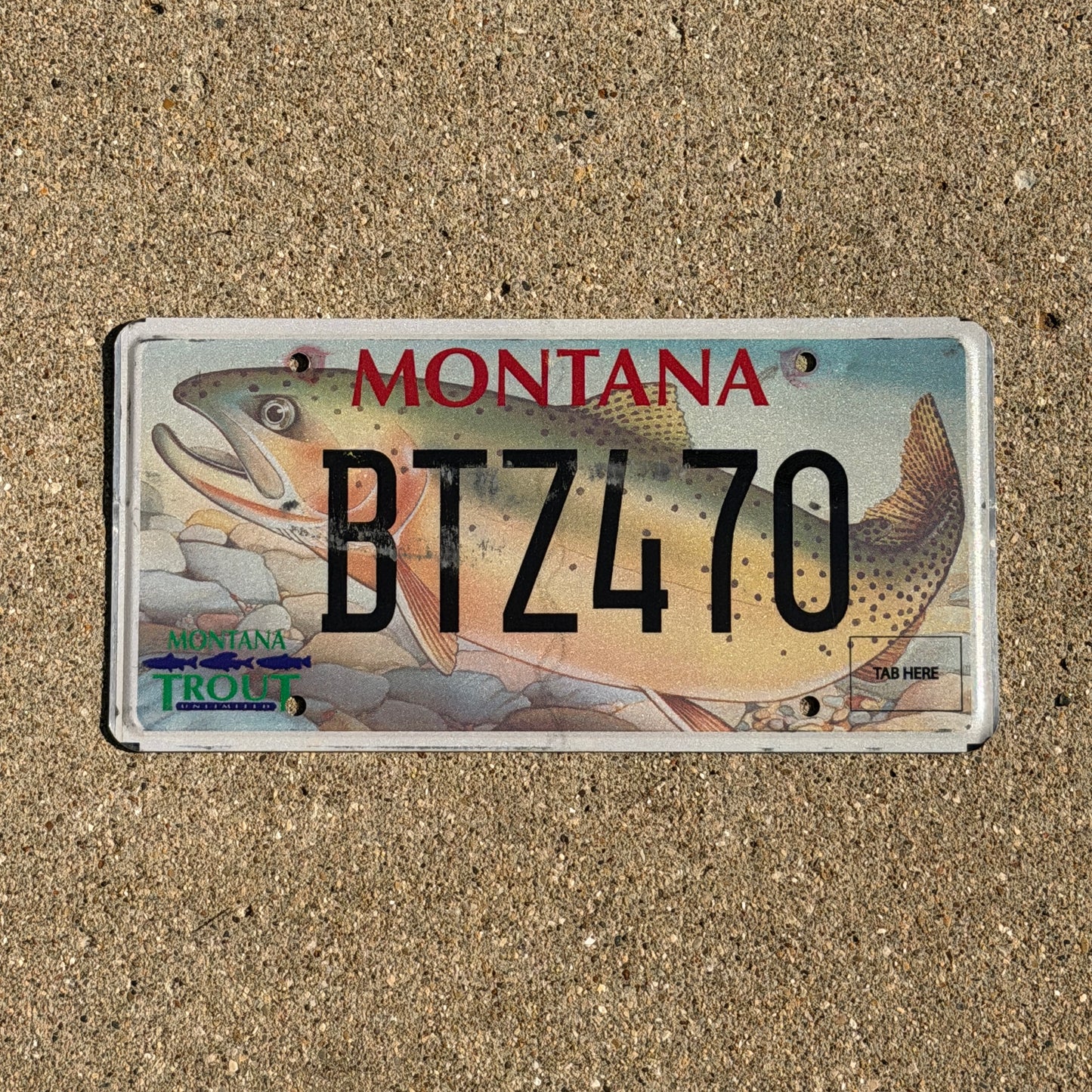 2002 Montana Graphic / Specialty License Plate Auto Tag Trout Fish Fishing BTZ 470