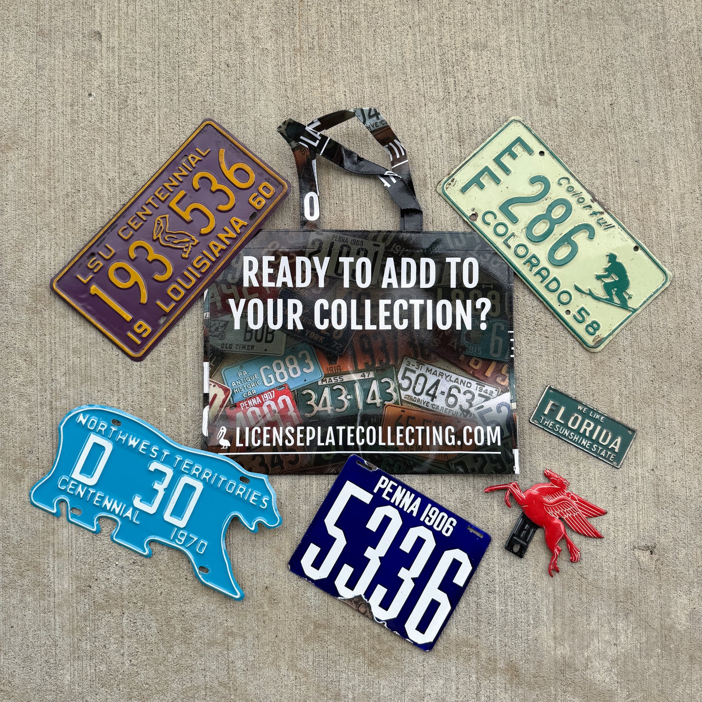 Reusable Bag - License Plate Collecting Print