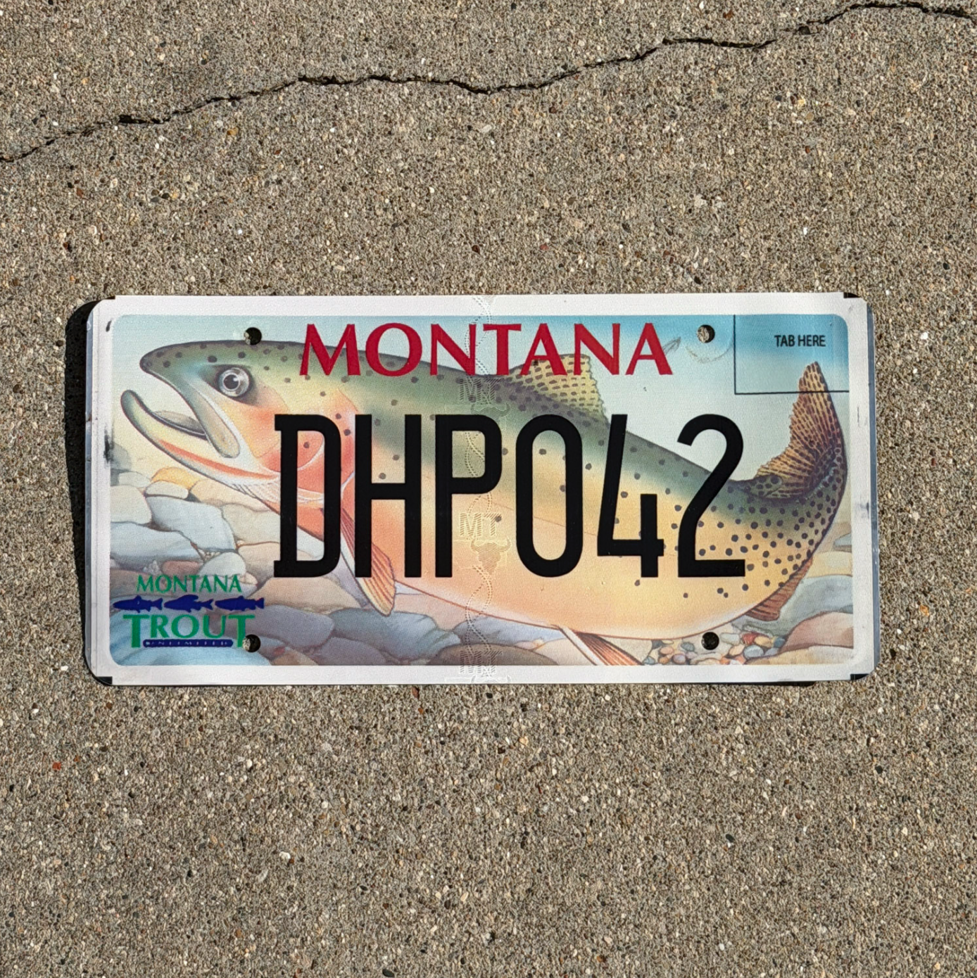 2002 Montana Graphic / Specialty License Plate Auto Tag Trout Fish Fishing DHP 042