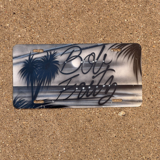 Photo of a Booster License Plate Auto Tag Garage Decor Vintage Metal Palm Beach Ocean Bob Fritz