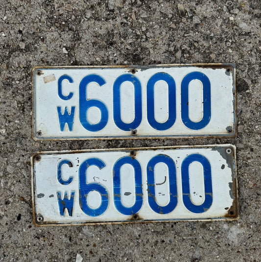 Photo of a License Plate Auto Tag Garage Decor Vintage CARGO WEIGHT 6000 CW Semi Truck Identifier