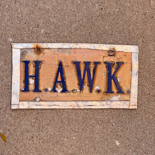 Photo of a License Plate Booster License Plate Auto Tag Garage Decor Vintage HAWK with original patina