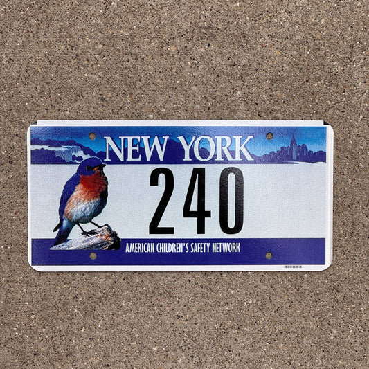 Photo of a New York License Plate Auto Tag Garage Decor Vintage American Children's Safety Network, Two Digit 240