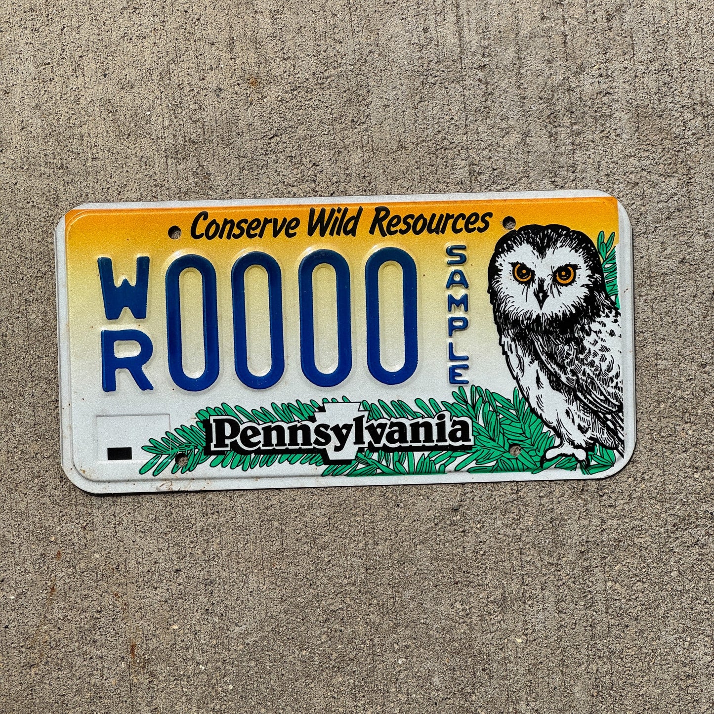 Photo of a Pennsylvania Graphic Sample License Plate Auto Tag Garage Decor Vintage Conservation Wild Owl WR 0000