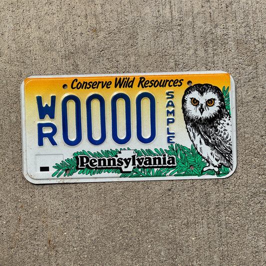 Photo of a Pennsylvania Graphic Sample License Plate Auto Tag Garage Decor Vintage Conservation Wild Owl WR 0000